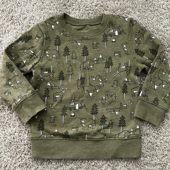 Toddler Boy Fleece Sweatshirt, Mountains Buffalo Bear and Deer Crewneck Sweater - Picture 1 of 3